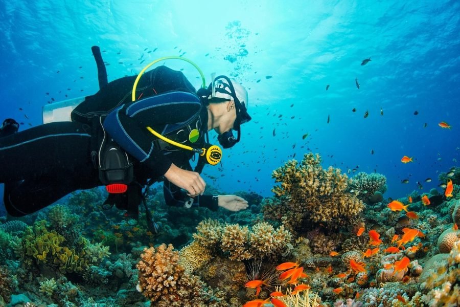 Dive at Amed & Padang Bai